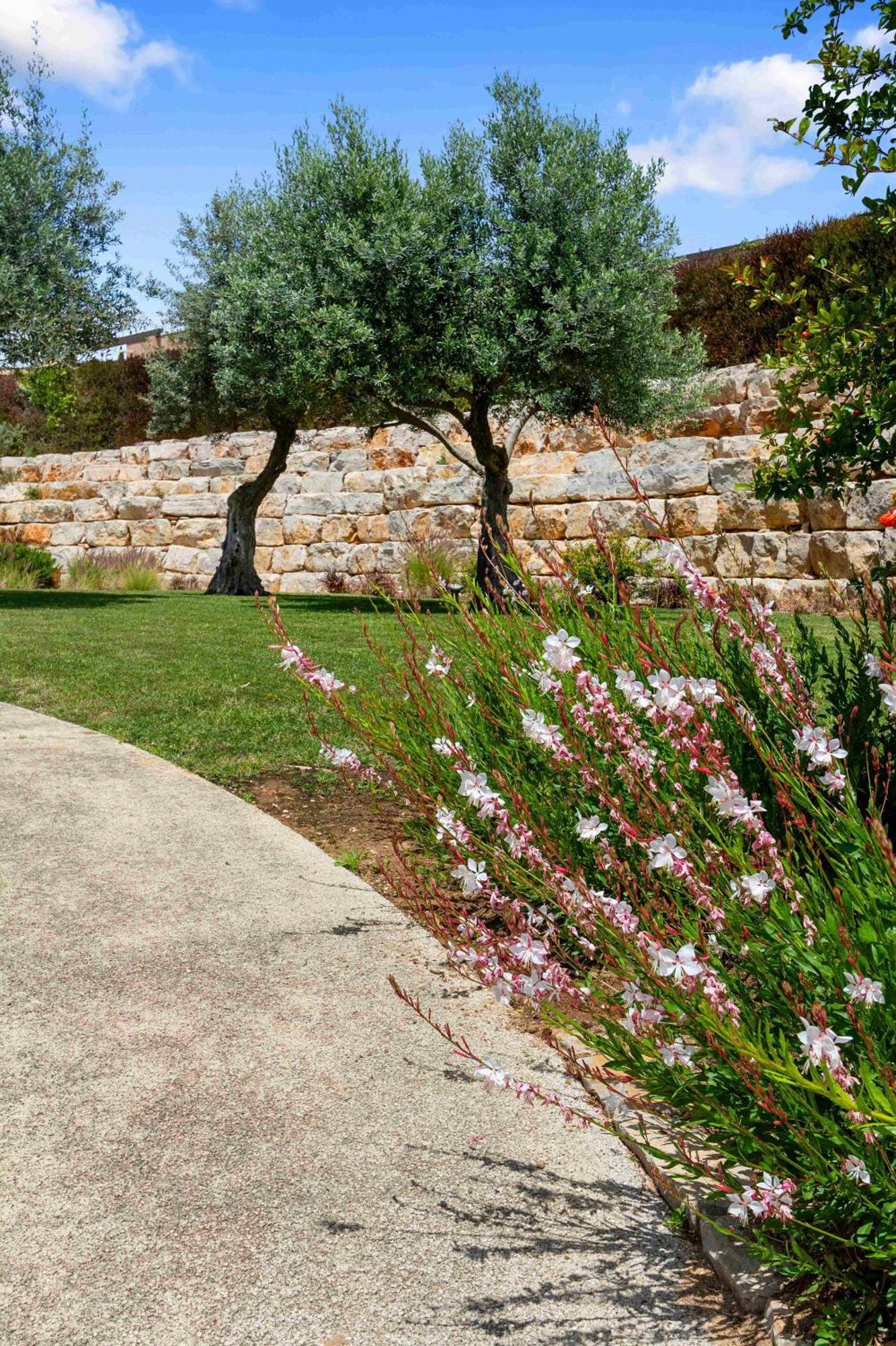 Vale De Milho Village Carvoeiro  Room photo